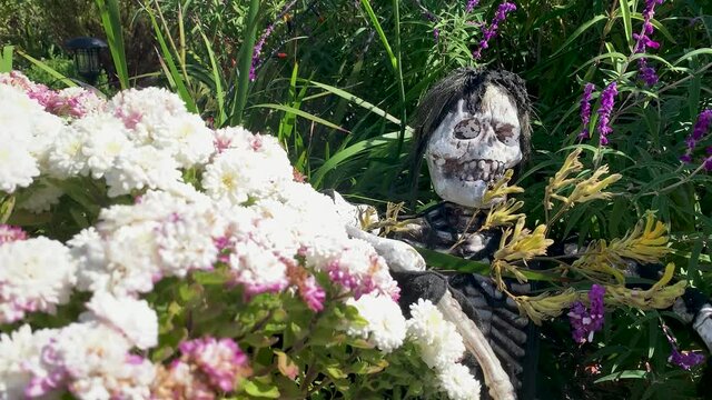 A skeleton hiding in the bushes behind a patch of flowers cna be seen with the whites of the vibrant green, and purples.