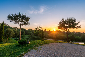 Scenic view at beautiful spring sunset in a park with green grass, dark shaded trees and golden sun rays, deep blue sky , tree shades spring valley landscape