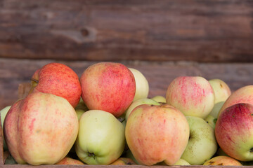 Ripe apples lie on a background of a wooden wall.
