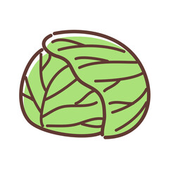 シンプルタッチのキャベツ