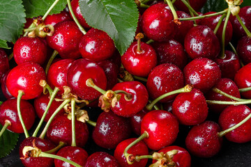 Fresh delicious red bright cherry berries torn in the summer garden