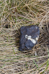 fragments of the Chelyabinsk meteorite found in winter and spring of 2013