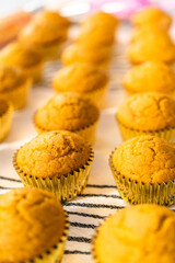 Pumpkin spice cupcake