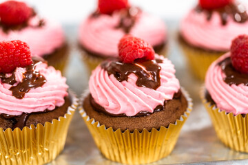 Chocolate raspberry cupcakes