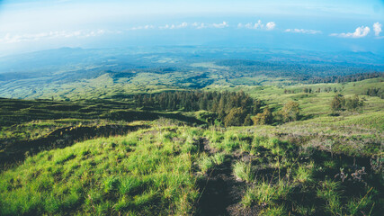 Fototapeta na wymiar Mountain hill panoramic landscape at summer with green grass, and sky in Mount Tambora, Sumbawa, Indonesia