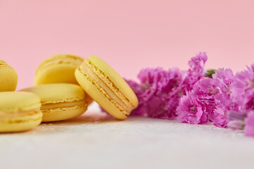Fototapeta na wymiar delicate yellow macarons dessert with pink flowers on pink background