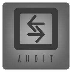 audit