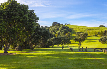 Landscape Scenery of Mahurangi Regional Park Auckland, New Zealand