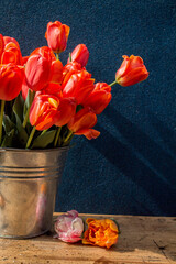 bucket of red tulips on a wooden table on a dark background