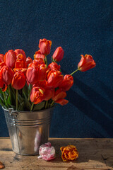 bucket of red tulips on a wooden table on a dark background
