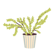  Home plant in a beige ceramic pot Decorative home plant. Tropical indoor flower. Indoor flower isolated on a white background. Flat vector illustration. Vector illustration