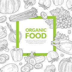 Green Food Banner Template with Space for Text, Element Can be Used for Organic Food Store, Vegan Products, Farmer Market, Restaurant Menu Hand Drawn Vector Illustration