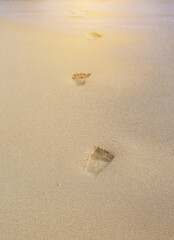 Footprints in the sand background with reflect rays of sunlight.