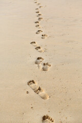 Footprints in the sand background.