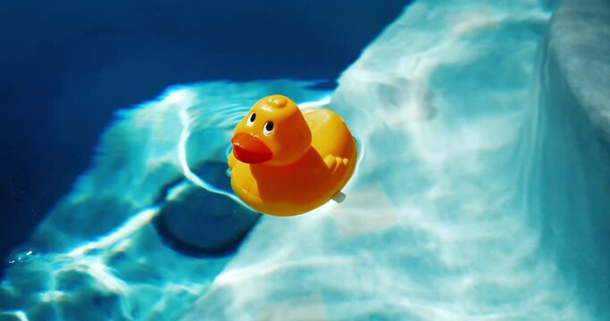 Plastic Rubber Duck Floating in Pool Water