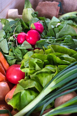 Generous gifts of spring nature - basket full of fresh radish, salad, carrot, zucchini, tomato and onion from the farm in Serbia