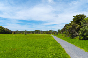 Fototapeta na wymiar Panoramic View of Waiatarua Reserve, Remuera - Auckland New Zealand; Pathways, Wetland Area