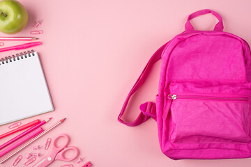 Top above overhead view photo of pink backpack green apple and colorful stationery isolated on...