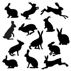 Big Set Rabbit Isolated White Background, Vector Illustration