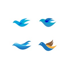 Obraz premium bird logo