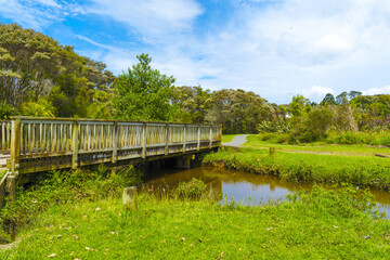 Fototapeta premium Panoramic View of Waiatarua Reserve, Remuera - Auckland New Zealand; Wetland Area