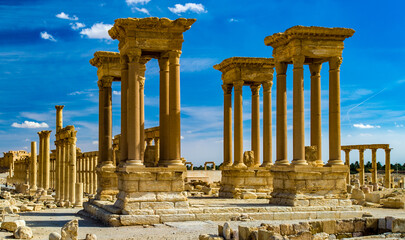 It's Beautiful view of the ruins in the desert of Syria, Palmyra - obrazy, fototapety, plakaty