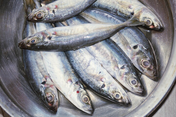 Fresh Mackerel fish at Traditional Fish Market