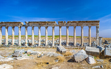 Fototapeta premium It's Ruins of the columns of Apamea, Syria.