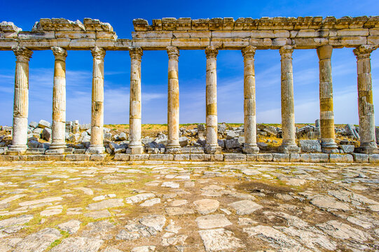 รูปภาพOrontes เลือกดูภาพถ่ายสต็อก เวกเตอร์ และวิดีโอ91 Adobe Stock