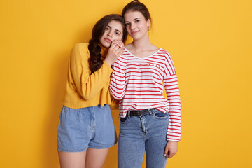 Naklejka premium Two friends wearing stylish clothing standing isolated over yellow background, girls posing together and looking at camera, attractive females look calm.