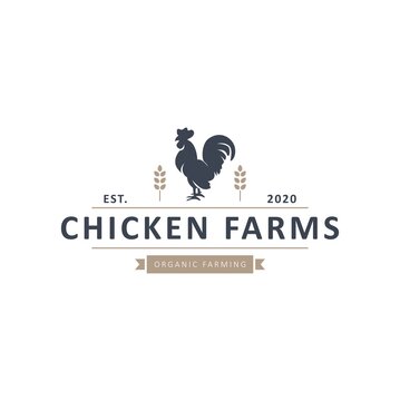 Chicken Logo Hipster vintage retro vector