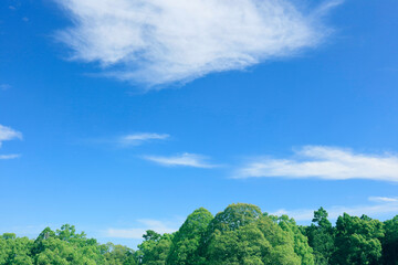 Obraz premium 6月の梅雨に訪れた爽やかな青空【奈良天理市】