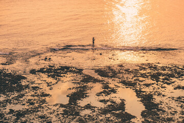 A fisherman fishing alone at Sunset Time on low tide beach in Lombok Island, Indonesia