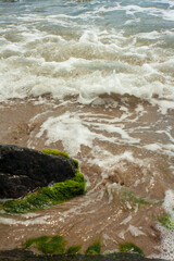 Water on the ocean foam near the shore. Green moss on a stone on the shore. Beach without people
