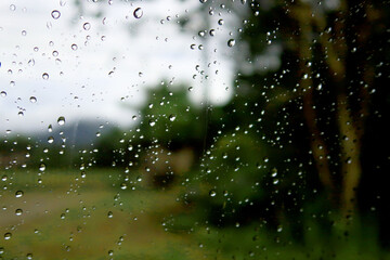 Water rain drops on car transparent glass window with tropical summer rainforest green plants & trees background in rainy season, Eco environment & exotic travel concept                              