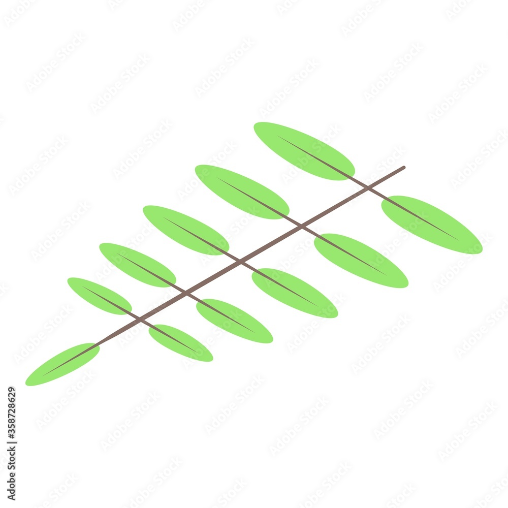 Poster olive tree branch icon. isometric of olive tree branch vector icon for web design isolated on white 