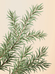 Set of ethereal tea tree leaves