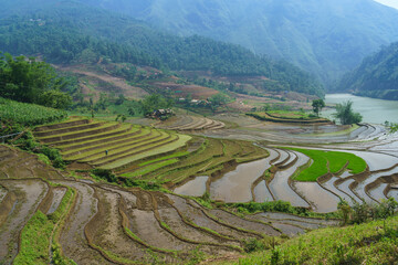 Fototapeta na wymiar Terraced rice fields in water season in Lao Cai, northern Vietnam