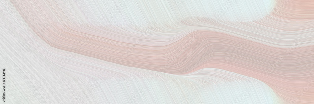 Poster abstract modern header design with light gray, pastel gray and silver colors. fluid curved flowing waves and curves for poster or canvas