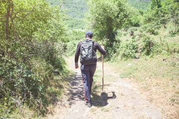 Fototapeta na wymiar A man with backpack walks in the forest.