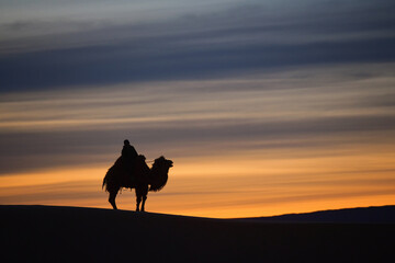 Fototapeta na wymiar Bactrian camel in the gobi desert of Mongolia.Camels in the Mongolian gobi desert, camel rider in Mongolia desert with sand dunes and dry bushes