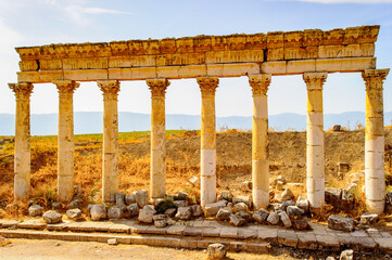 Fototapeta premium Ruins of Apamea, Syria