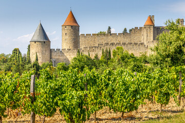 Fototapeta na wymiar The city of Carcassonne, France