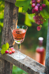 A glass of rose wine with bottle outdoors in vineyard garden. Wine tasting with red grapes on wooden ladder, harvest time, copy space