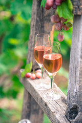 Two glasses of rose wine with bottle outdoors in garden party in vineyard. Wine tasting with red grapes on wooden ladder, harvest time, copy space