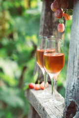 Two glasses of rose wine with bottle outdoors in garden party in vineyard. Wine tasting with red grapes on wooden ladder, harvest time, copy space