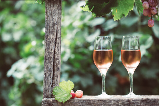 Two glasses of rose wine with bottle outdoors in garden party in vineyard. Wine tasting with red grapes on wooden ladder, harvest time, copy space