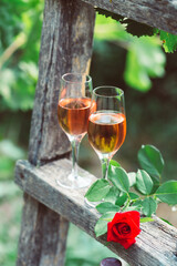 Two glasses of rose wine with bottle outdoors in garden party in vineyard. Wine tasting with red grapes on wooden ladder, harvest time, copy space