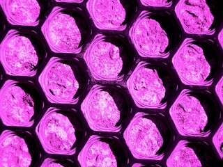 abstract background of pink and purple circles with 3d effect