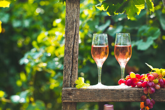 Two glasses of rose wine with bottle outdoors in garden party in vineyard. Wine tasting with red grapes on wooden ladder, harvest time, copy space - Powered by Adobe
